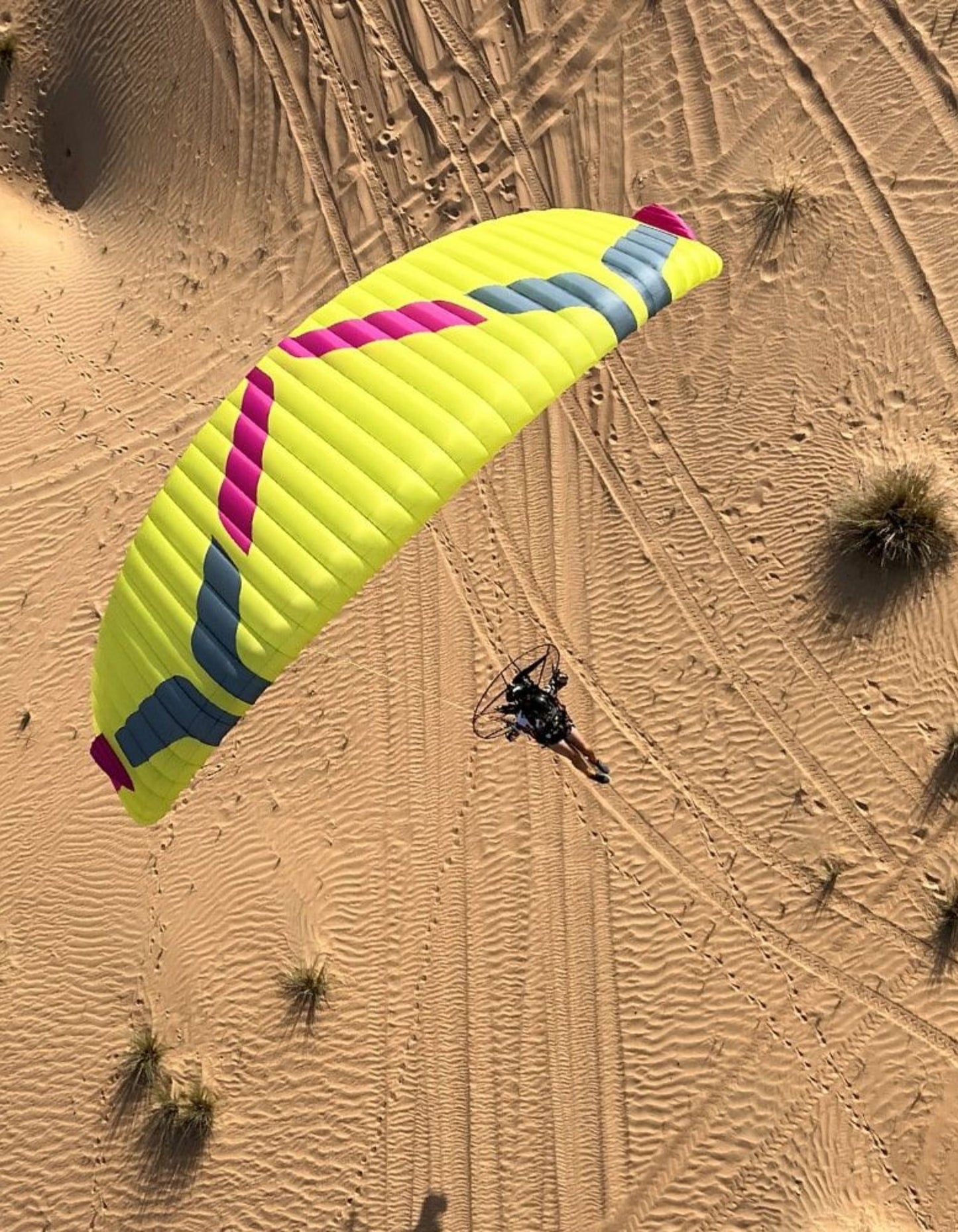 Ozone Moxie PWR