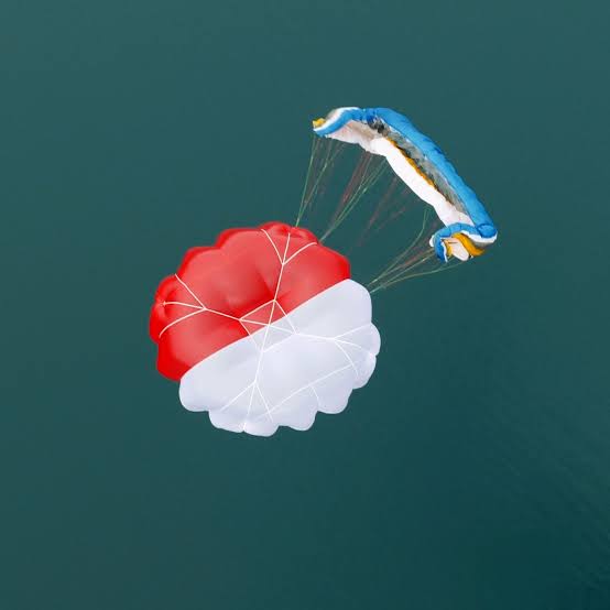 DONUT rescate - Airdesign