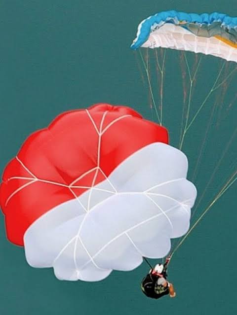 DONUT rescate - Airdesign